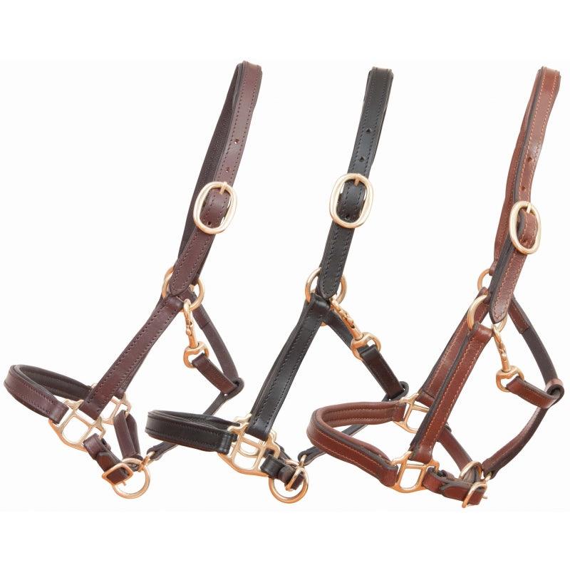 TdeT Licol Cuir Mini et Poulain - SHOP HORSE